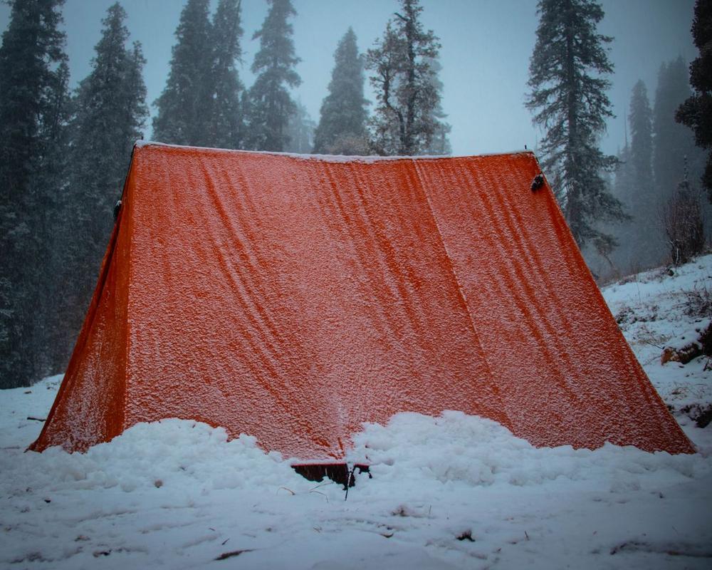 An orange tent under fresh snow at the edge of a pine forest