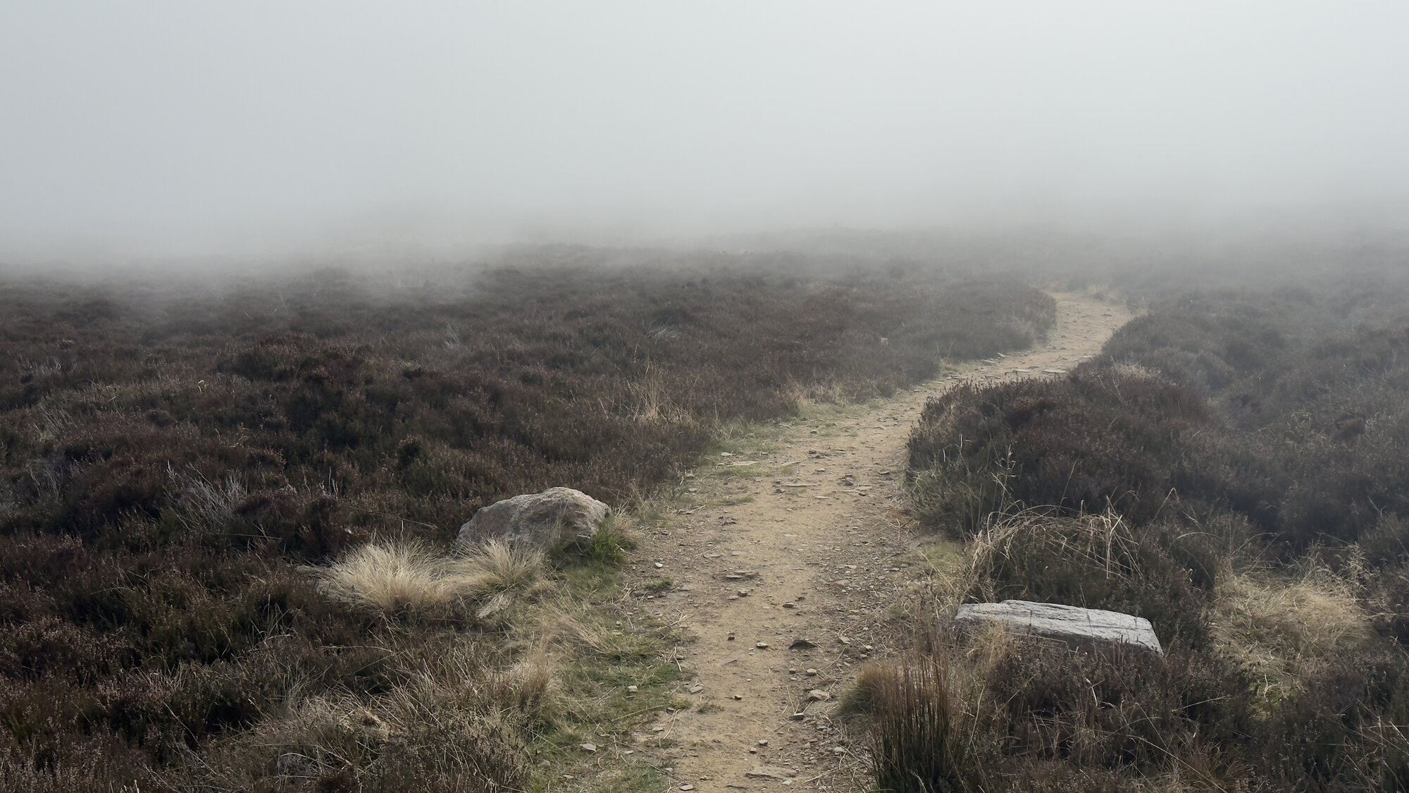 A narrow dirt path winds through brown heather moorland and disappears into thick fog, with only a few rocks visible beside it.