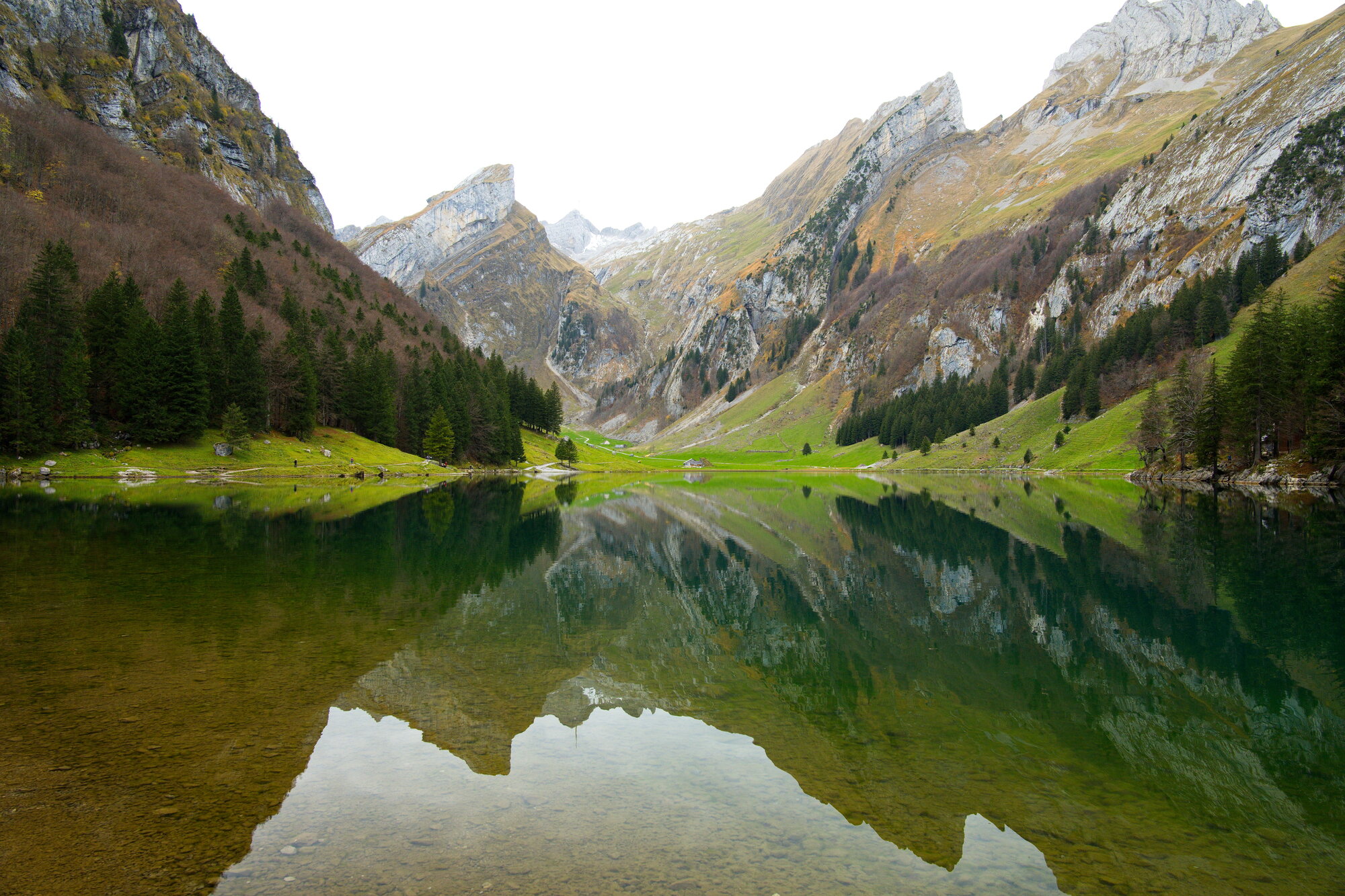 Jagged limestone peaks and green slopes mirrored almost perfectly in the still water of Seealpsee, an alpine lake in the Alpstein, Switzerland.